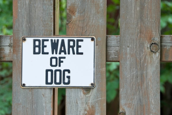 Dog Bite Law 101 - Dog Bite Lawyers - Dog Attack Lawyer - Animal Bite Lawyer - Animal Attack Lawyer - Martin, Harding & Mazzotti 1800law1010