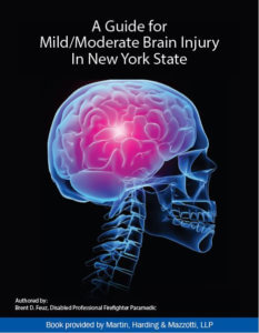 brain Brain Graphic - Traumatic Brain Injuries - Free Books For Injury Victims