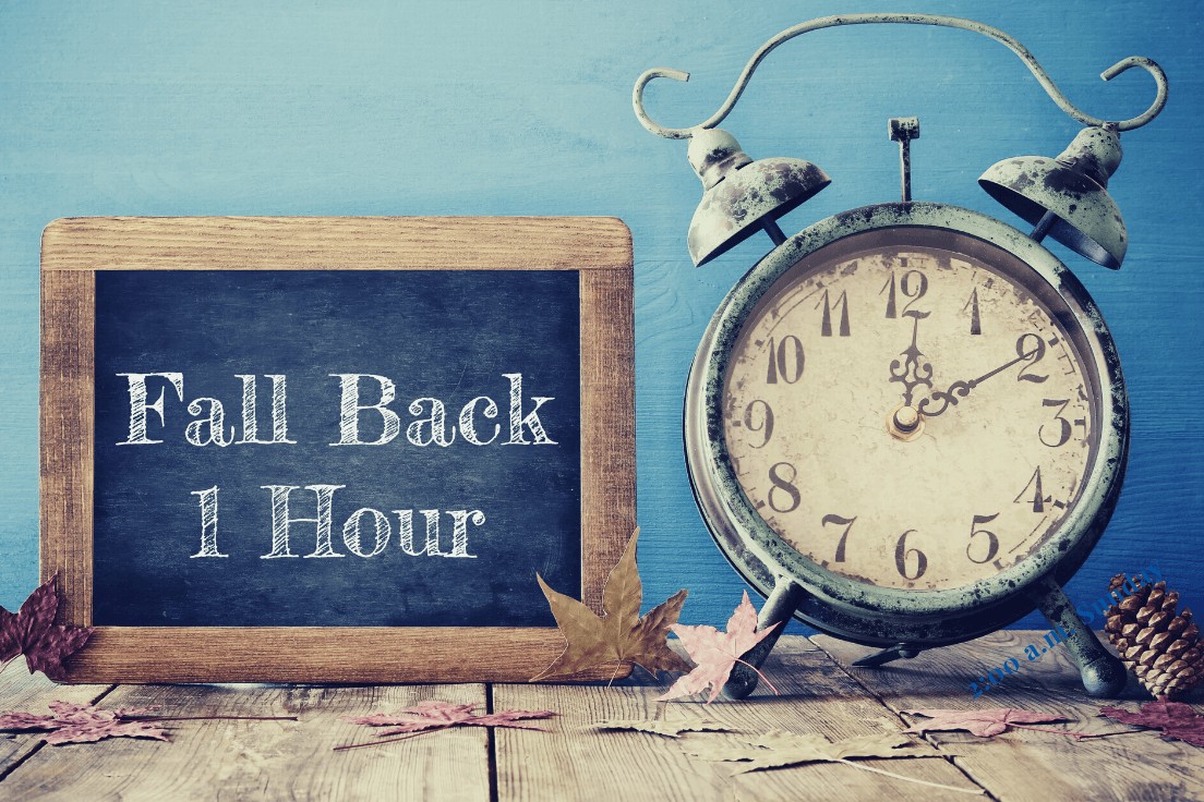 Fall Back 1 Hour DST Ends Harding Mazzotti, LLP