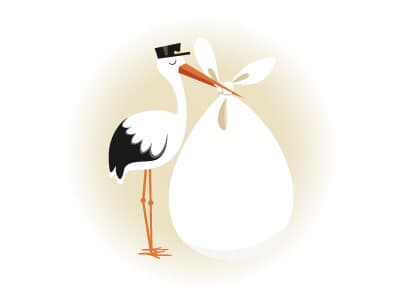 stork2