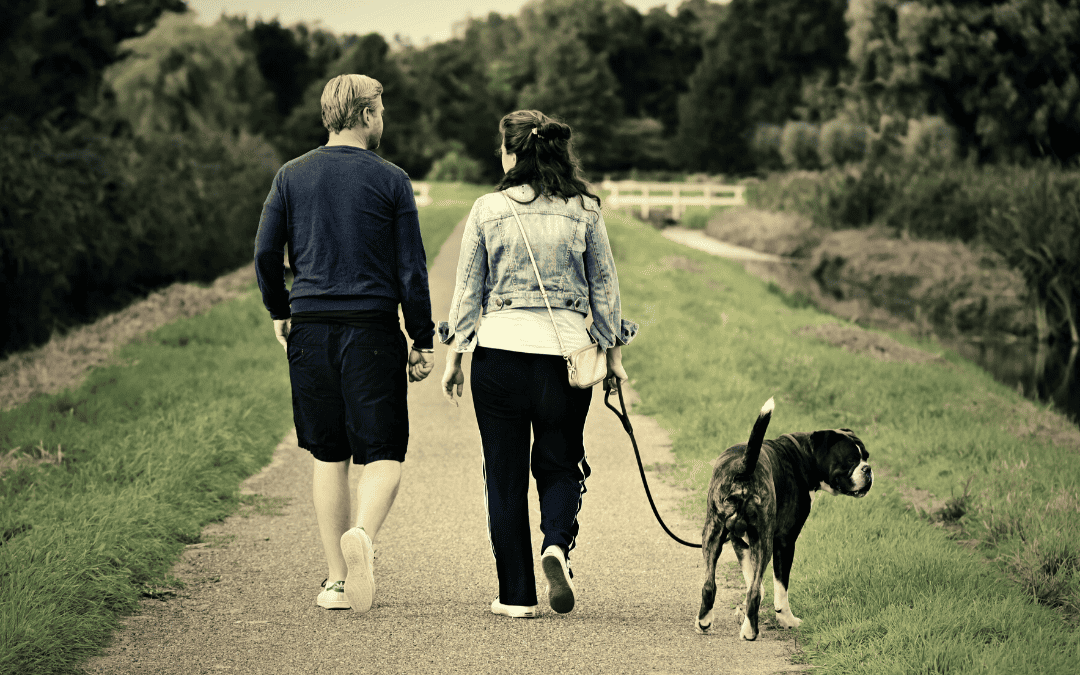 couple walking their large dog down a rural path