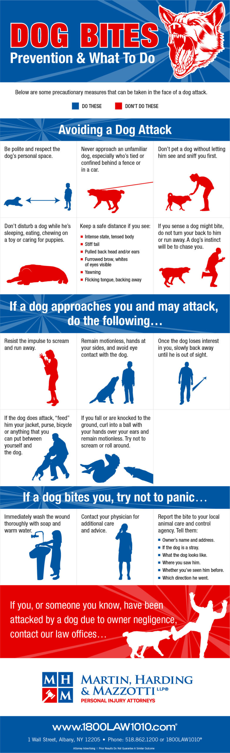 Infographic Dog Bites Prevention & What To Do Harding Mazzotti, LLP