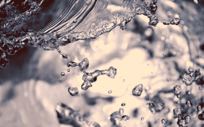 Toxic Water