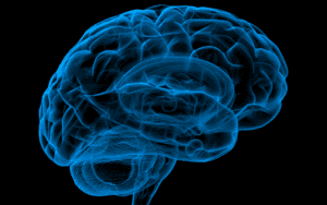 Traumatic Brain Injury - Image of Brain - Causes of Traumatic Brain Injury - TBI