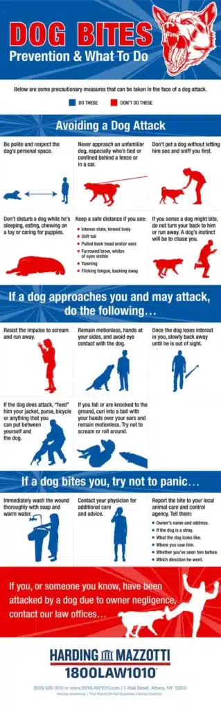 Dog Bites Prevention & What To Do Infographic