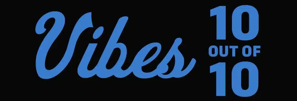 Vibes 10 out of 10 logo